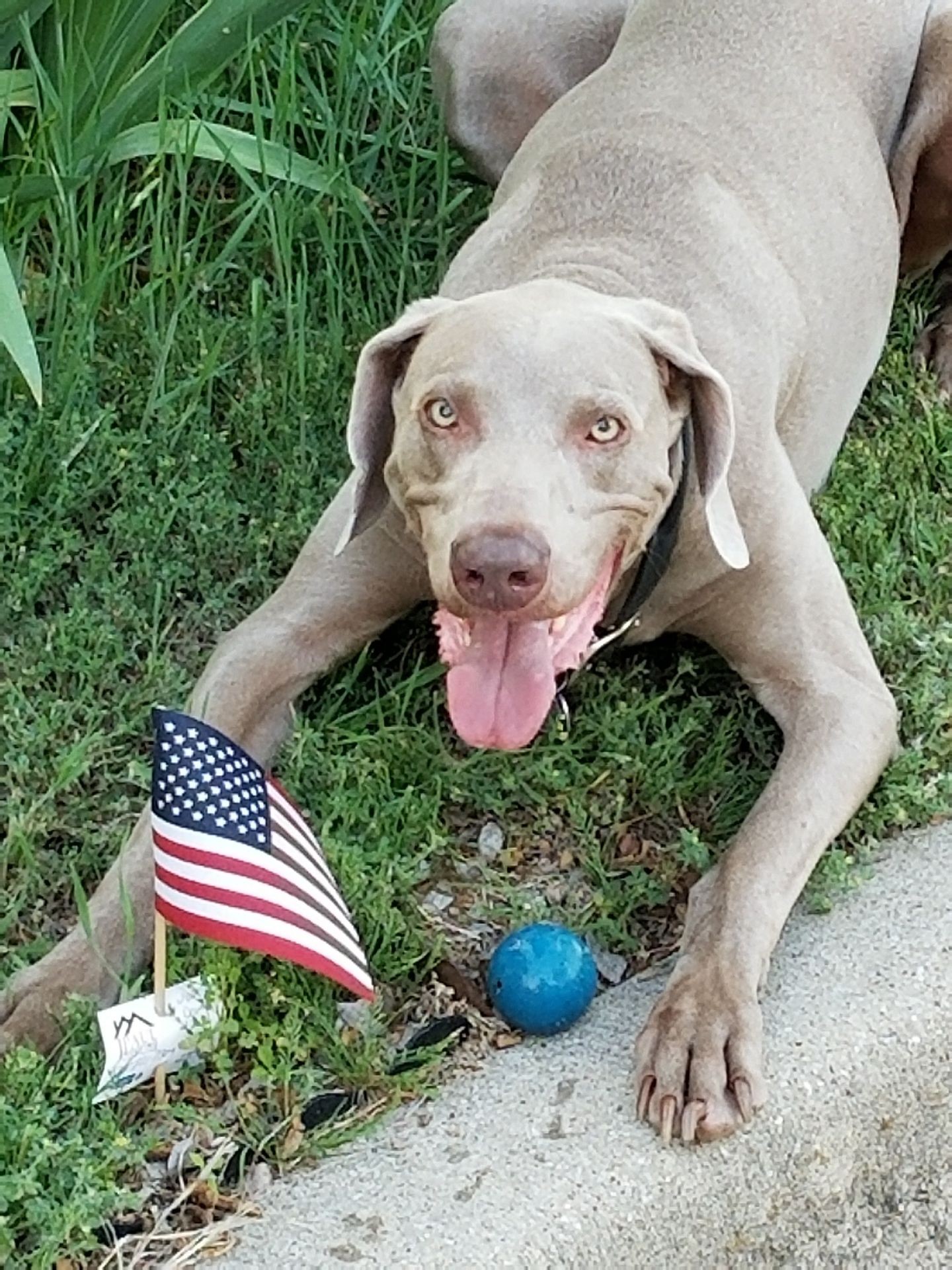 - Jake, Master Keeper & Hider of Balls